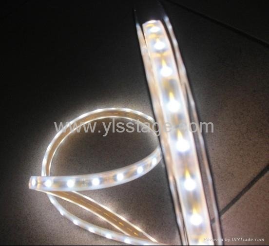 YLS-5050-60 LED 軟燈條白光 2