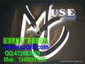 LED advertising light-emitting font 3