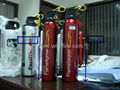 car fire extinguisher 3