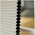 Windows Honeycomb Shades Manual Cord with Pleated Venetian 2