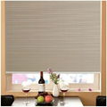 Windows Honeycomb Shades Manual Cord with Pleated Venetian 4