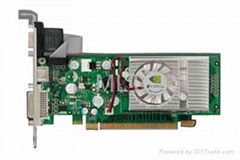 GeForce 8400GS PCI-E 256M DDR2 Graphics card with TV+DVI-VGA out put