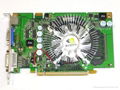 Video graphic card