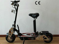 500W 800W Electric Scooter/Mini Scooter/E-Ssooter With EEC/COC