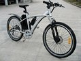 Electric bike/bicycle with ce certificate