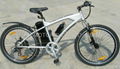 CE ELECTRIC BICYCLE/e-bicycle