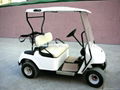 2 SEATER GOLF CART