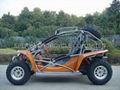 650CC/1100CC EEC BUGGY/GO KART