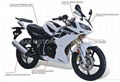 150CC/200CC RACING MOTORCYCLE/POCKET BIKE