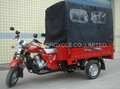 3-wheeler motorcycle with full cargo