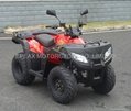 NEW 250CC SPORT ATV QUAD