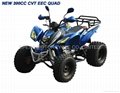 NEW 200CC CVT ATV WITH EEC APPROVAL