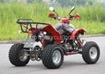 NEW 250CC CVT RACING ATV