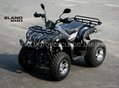 NEW 200CC  CVT ELAND STYLE ATV/QAUD