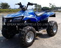 NEW ELECTRIC ATV