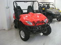 NEW 300CC EFI 2/4WD UTV(EP300UV-8)