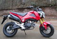 New 110cc/125cc motorcycle/motorbike