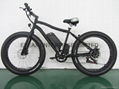 NEW ELECTRIC SNOW BICYCLE/BIKE 1