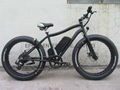 NEW ELECTRIC SNOW BICYCLE/BIKE