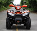 NEW 2/4WD AUTOMATIC CLUTCH  UTILITY ATV/QUAD