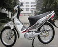 New Euro 4 125CC cub motorcycle