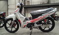 New Euro 4 125CC cub motorcycle 10