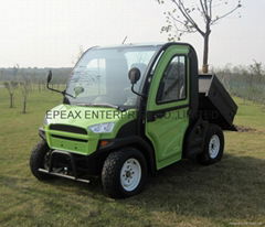 NEW 2 SEATER 3.5KW/5KW ELECTRIC UTV/FARM