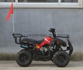 NEW 110cc/125cc EPA ATV for wholesales