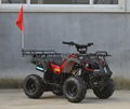 NEW 110cc/125cc EPA ATV for wholesales