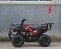 NEW 110cc/125cc EPA ATV for wholesales