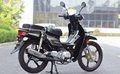 NEW EURO 4 50CC CUB MOTORCYCLE
