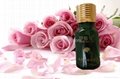 Rose beauty Essential Oil