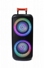 2 x 8inch Party Speaker 40W