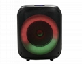 8 inch Party Speaker