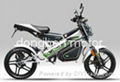 1000W Electric Motorcycle 