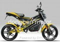 1000W Electric Motorcycle 