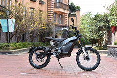 electric motorcycle 