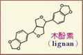 亞麻籽提取物