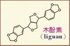 亞麻籽提取物