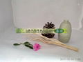 rattan diffuser stick 6