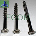 China Deck screw