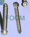 Stainless Self Tapping Screw