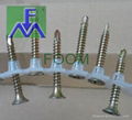 Collated Decking Screw 1