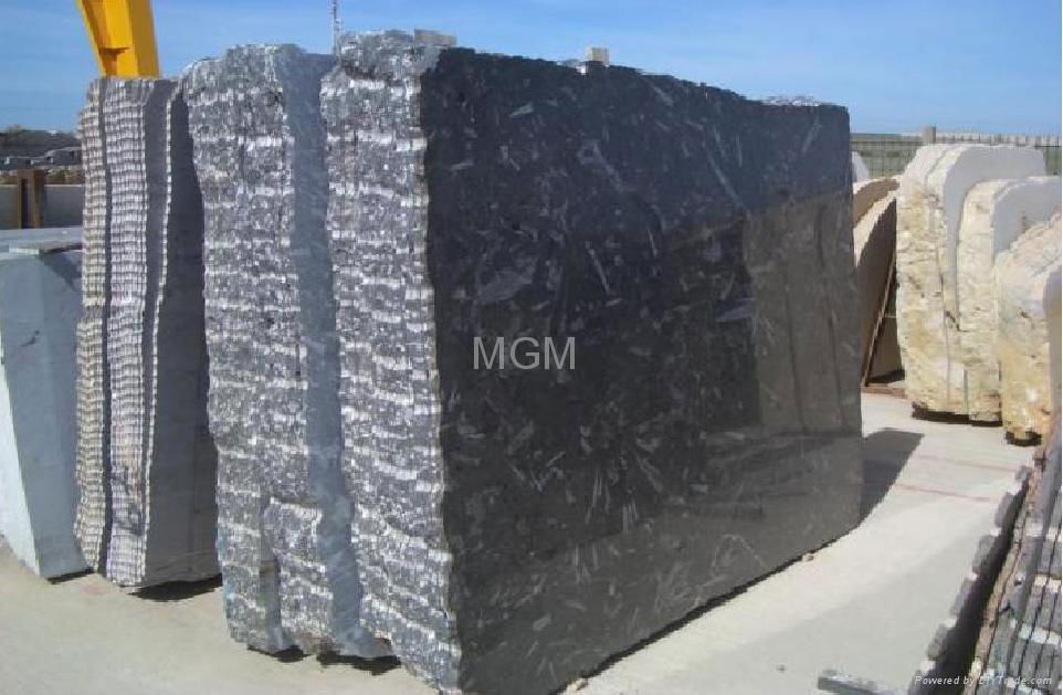 Black Fossil Marble 2