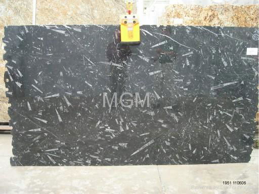 Black Fossil Marble 3