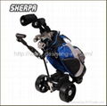 electric golf trolley