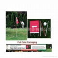 Golf Flagstick Pole & Cup