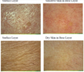 NEW 8.0MP UV skin analyzer for Skin Mositure, Grease, Wrinkle, Pigmentatio