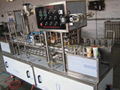 Automatic Cup Filling and Sealing Machine 2