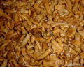 Cantharellus cibarius in brine